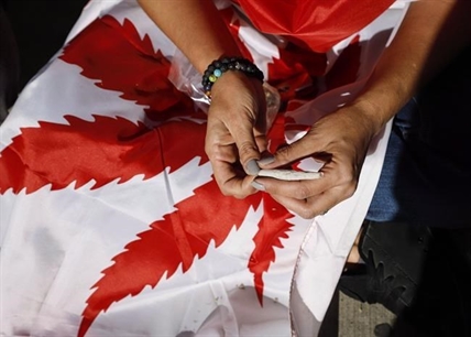 Alberta to allow pot shops to sell cannabis at adult-only trade shows, festivals | iN420