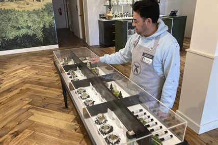 New Mexico launches cannabis sales within Texans’ reach | iN420