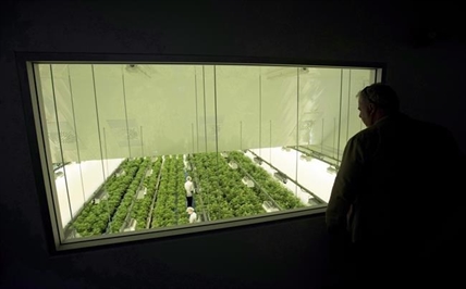 Canopy warns Nasdaq objects to plans for U.S. holding company, could delist pot firm | iN420