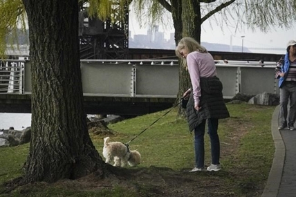 Scooby doobie don’t: Discarded joints pose hazards for dogs | iN420