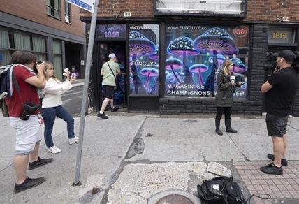 Montreal police raid illegal magic mushroom store on opening day | iN420