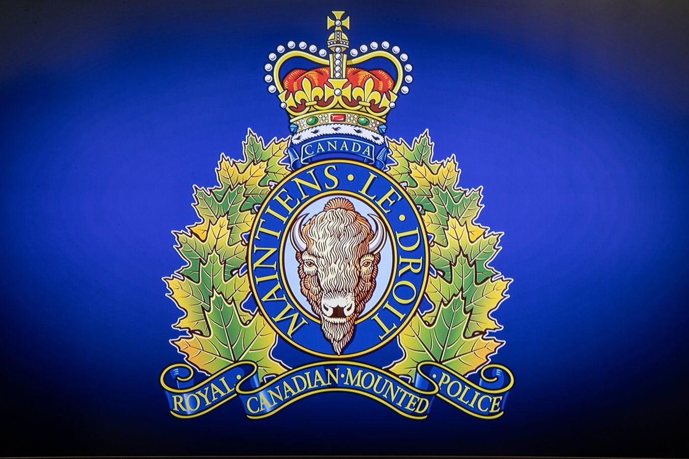 Suspected cocaine, fentanyl, mushrooms seized as two arrested in Kelowna, B.C., bust | iNFOnews.ca