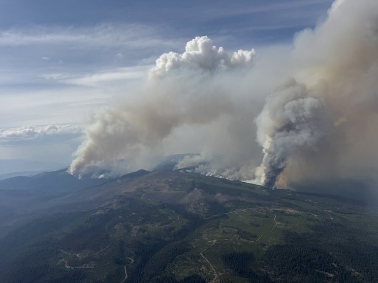 Residents warned to prepare for changes when returning home after a wildfire | iNhome Residents warned to prepare for changes when returning home after a wildfire | iNhome