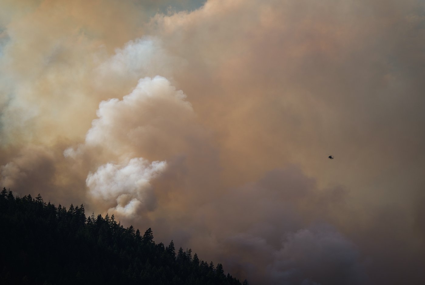 'Like a Biblical event': Raging wildfire destroys buildings near Boston Bar, B.C. | iNhome