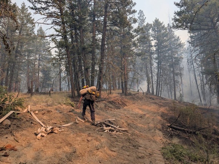 Councillor says sad stories emerging from fire zone in Clinton, B.C. | iNhome