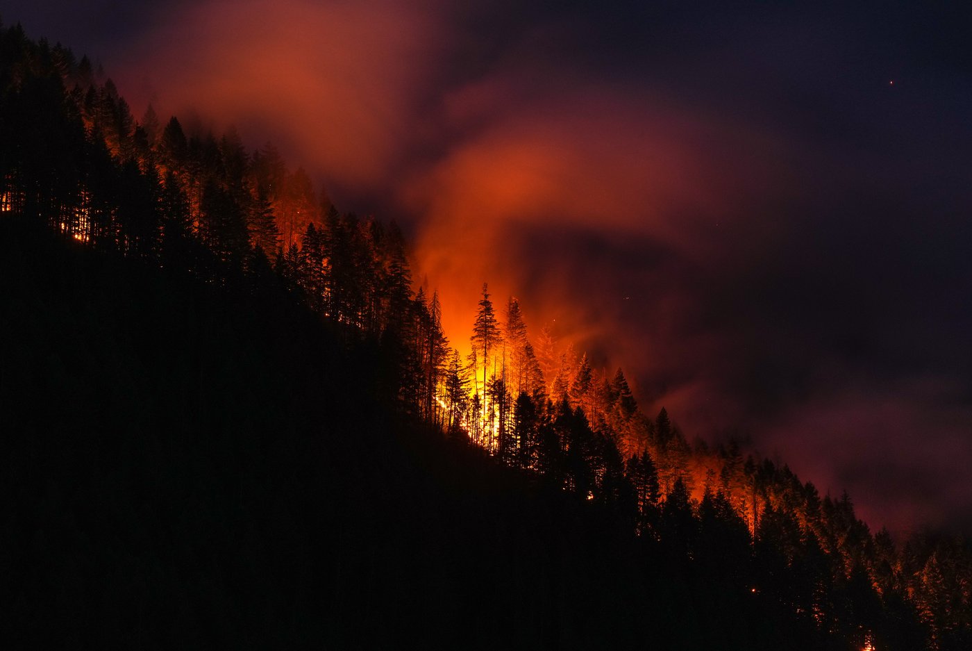 With flames in backyard, Boston Bar resident tells of B.C. town surrounded by fire | iNFOnews.ca