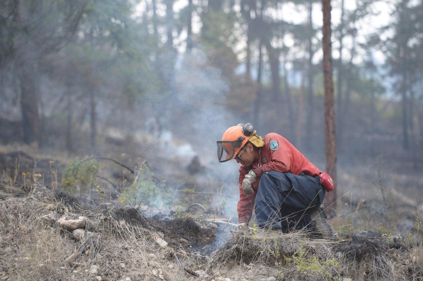 CP NewsAlert: Wildfire prompts hurried evacuations in West Kelowna, B.C. | iNFOnews.ca