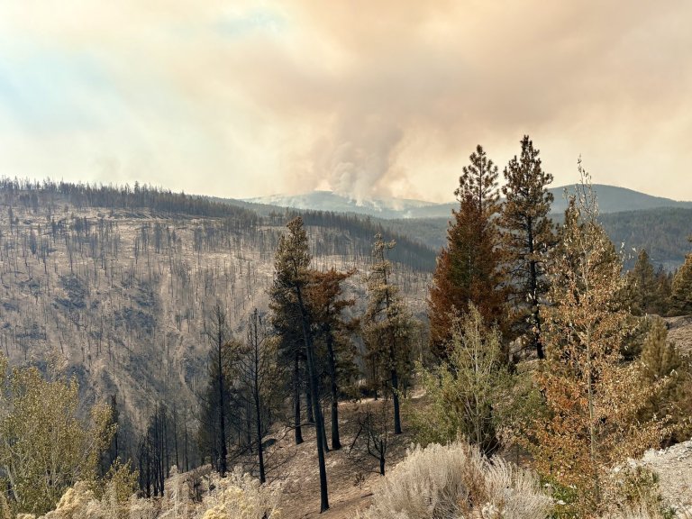 'It's not life back to normal,' even as B.C. wildfire evacuees return home | iNhome 'It's not life back to normal,' even as B.C. wildfire evacuees return home | iNhome