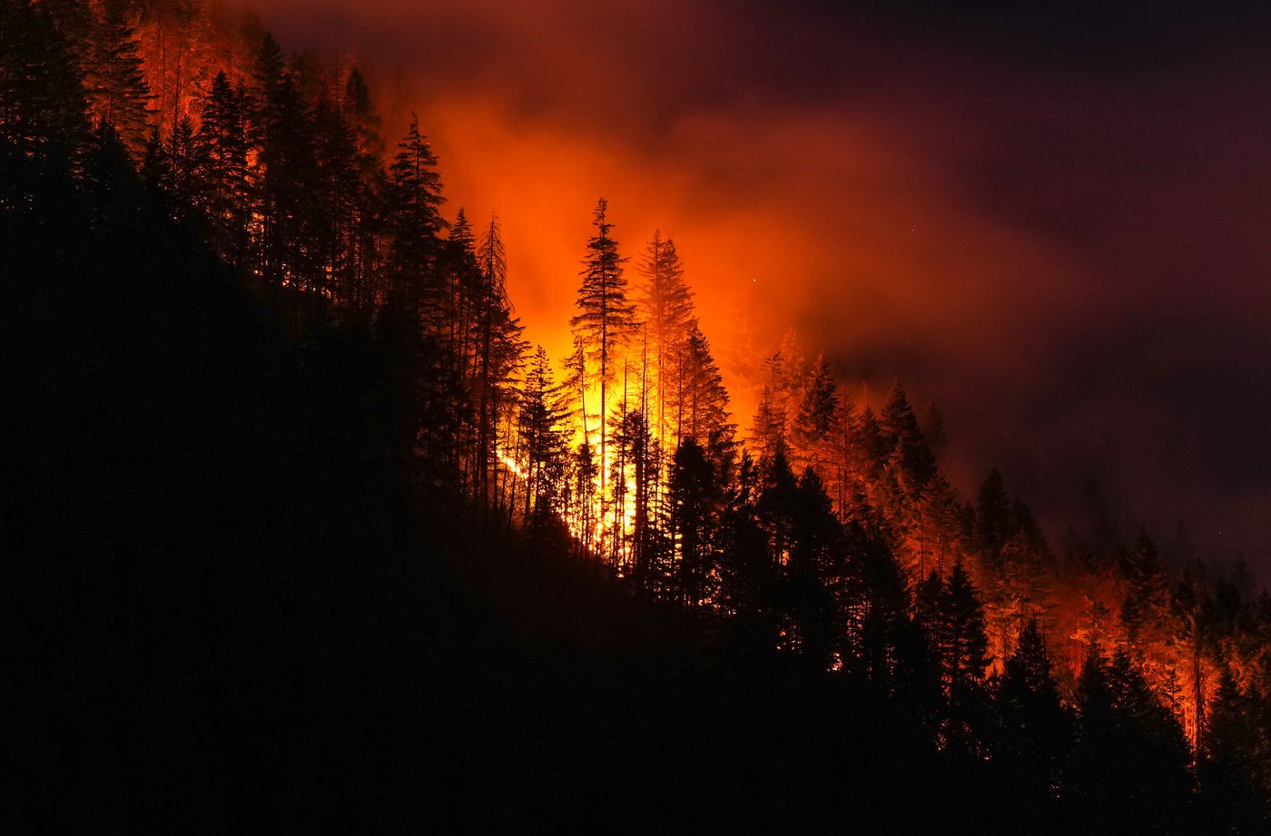 Town site of Boston Bar, B.C., ordered to evacuate as wildfire flares | iNhome