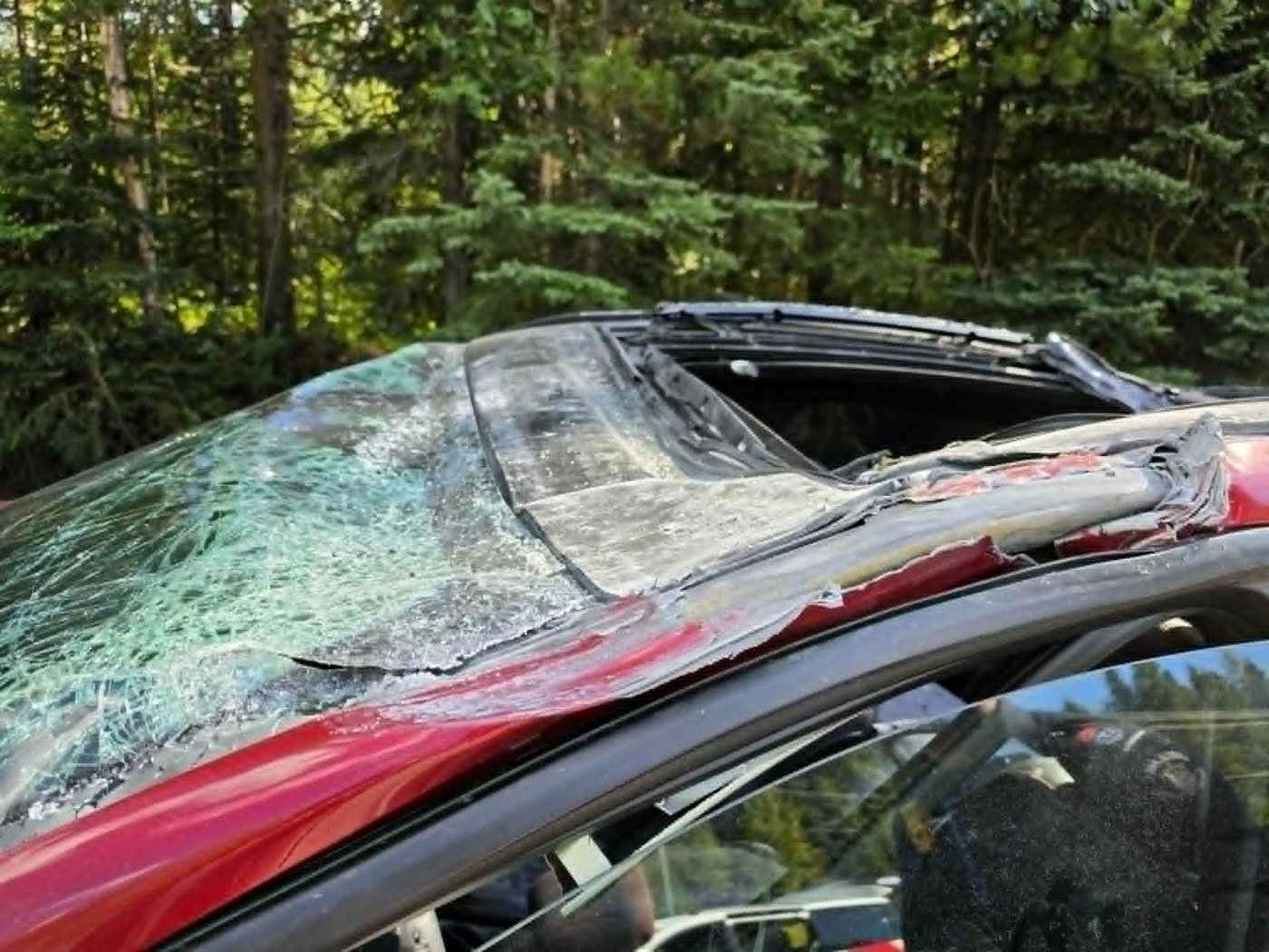 Driver in crash with plane in northern B.C. says he 'shouldn't be here' | iNFOnews.ca Driver in crash with plane in northern B.C. says he 'shouldn't be here' | iNFOnews.ca