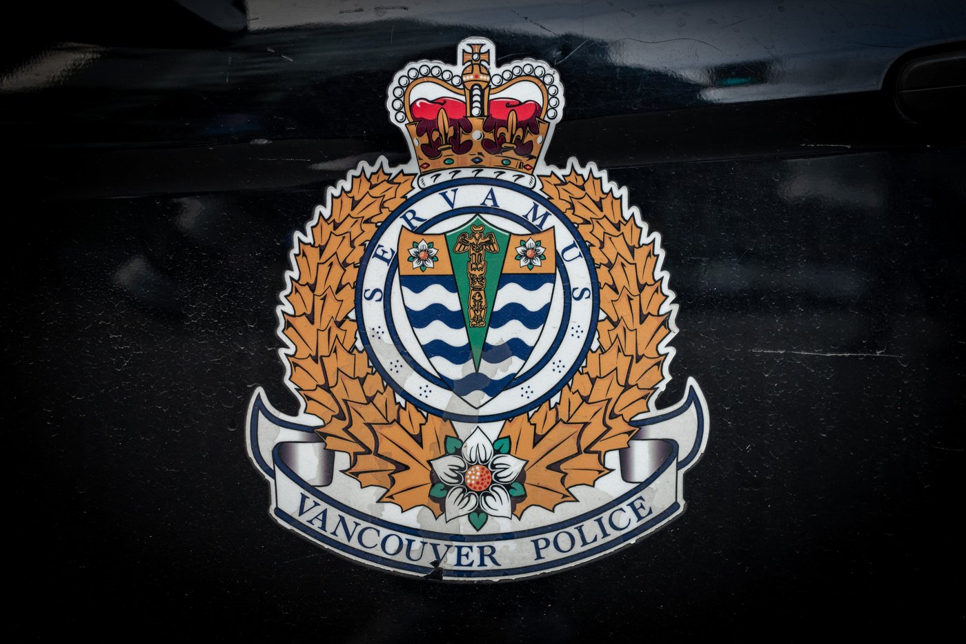 Man charged after vehicle rampage in Vancouver injured elderly scooter rider | iNwheels Man charged after vehicle rampage in Vancouver injured elderly scooter rider | iNwheels