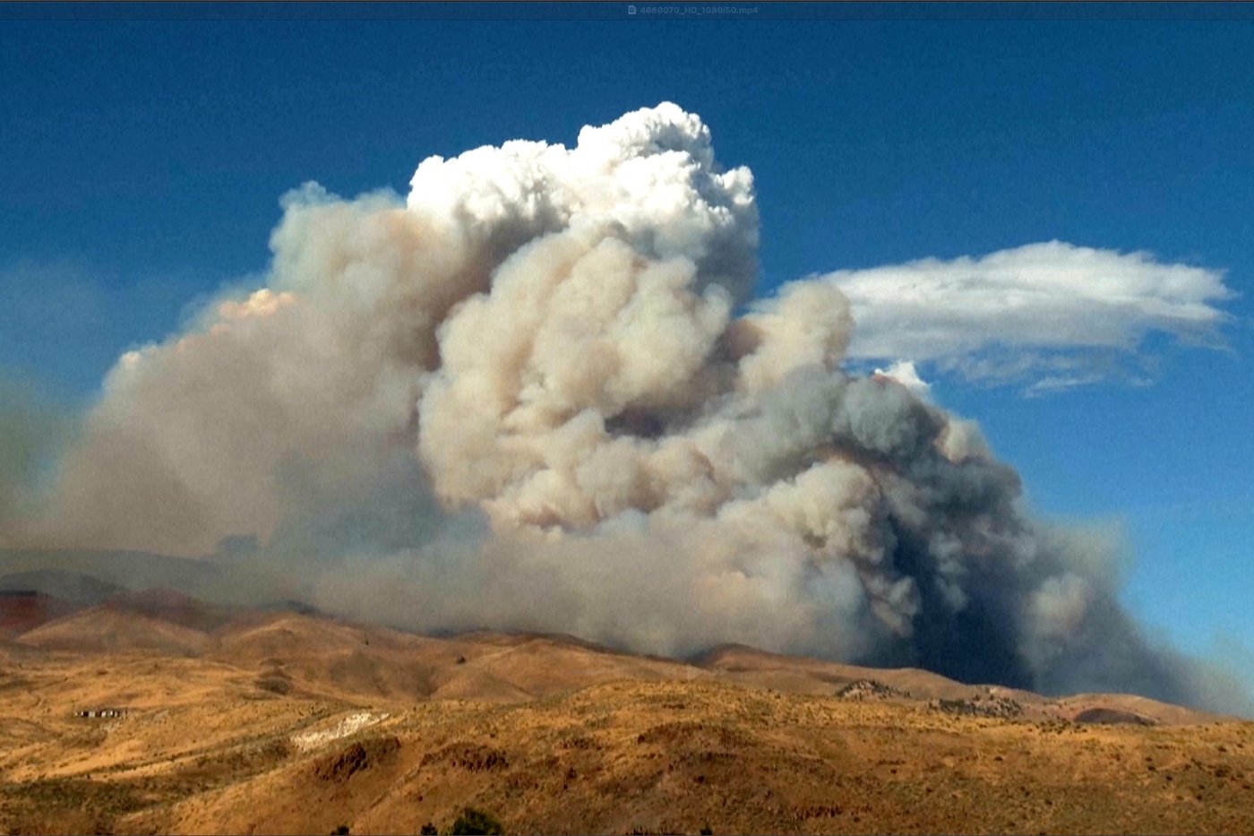Firefighters are trying to stop a fast-moving Nevada wildfire from spreading to homes in Reno | iNwheels Firefighters are trying to stop a fast-moving Nevada wildfire from spreading to homes in Reno | iNwheels