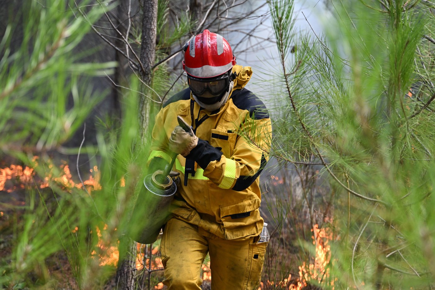 As France tames wildfire and lets 84,000 evacuees go home, blazes flare across Europe | iNFOnews.ca