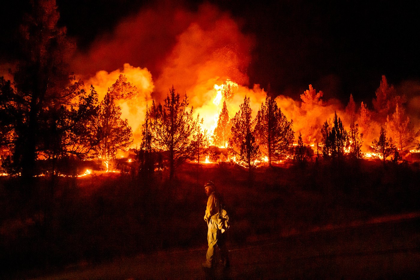 Wildfires are more extreme in Europe and North America, but global burning is oddly decreasing | iNwheels Wildfires are more extreme in Europe and North America, but global burning is oddly decreasing | iNwheels