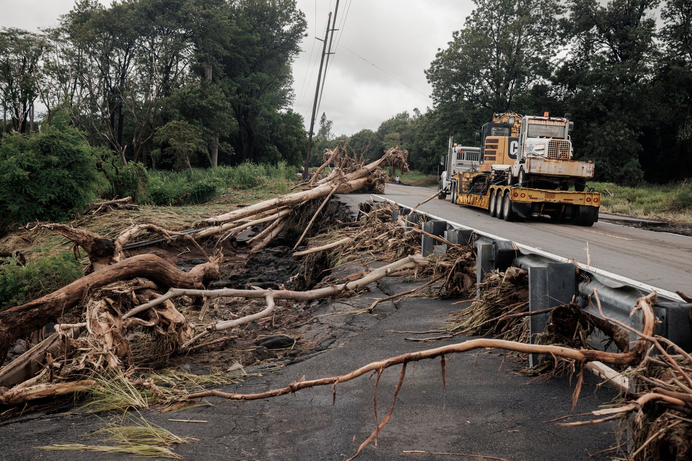 Thousands without power after Tropical Storm Lala uproots trees in Hawaii | iNwheels