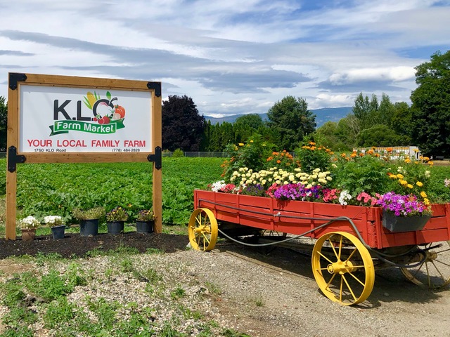 Farmer Friday: Rupi & Sunny Bhangu, K.L.O. Farm Market | iNwine