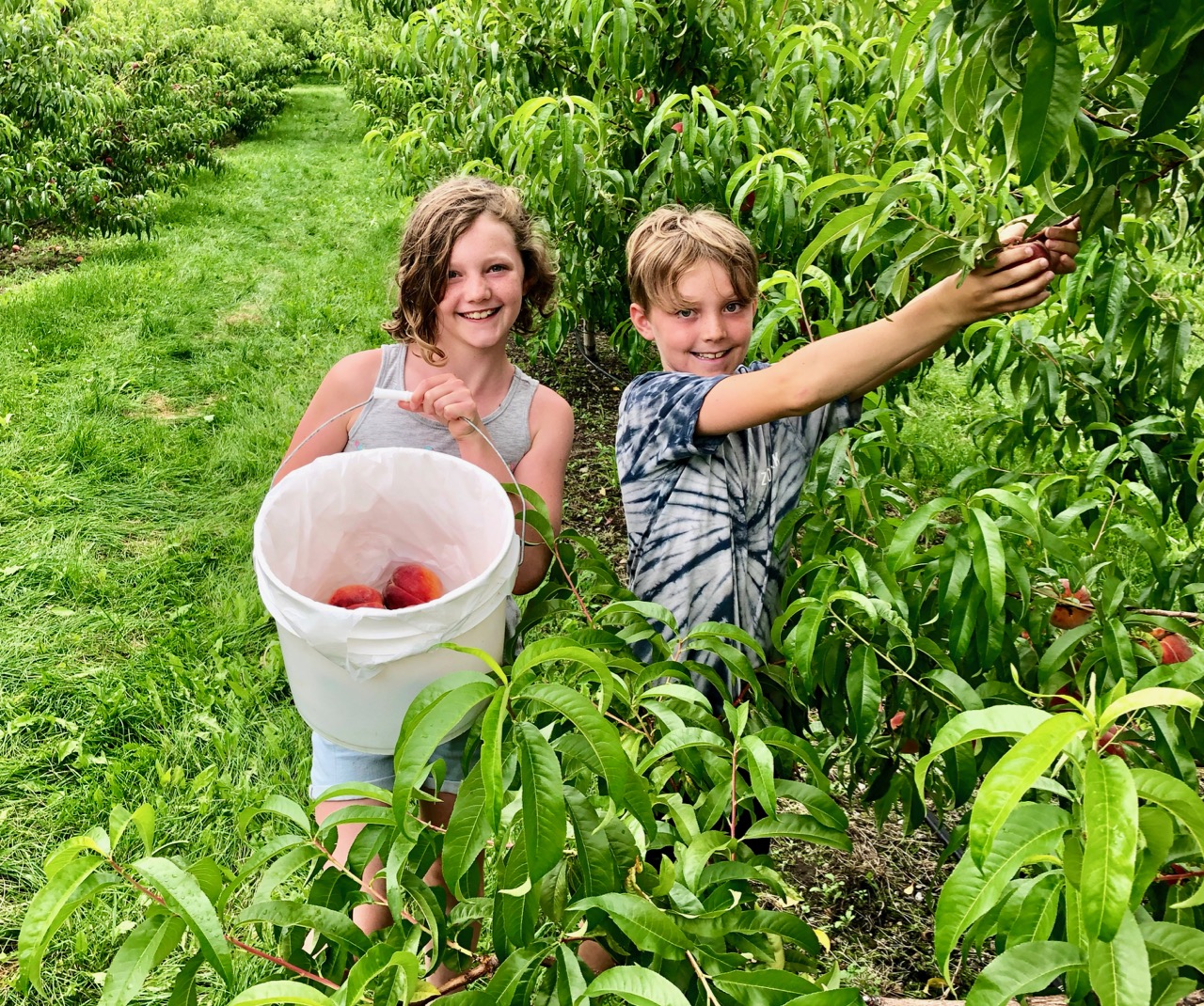 iN WINE Farmer Friday: Jennay Oliver, Paynter’s Fruit Market | iNwine