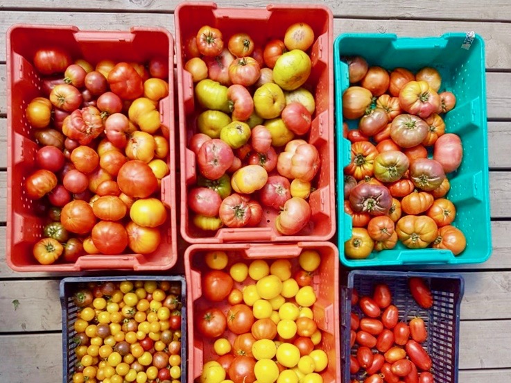 Farmer Friday: Meet Jordan Marr from Unearthed Farms – Fine Veggies & Herbs | iNwine Farmer Friday: Meet Jordan Marr from Unearthed Farms – Fine Veggies & Herbs | iNwine