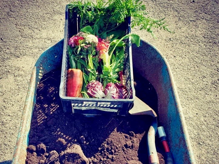 Farmer Friday: Meet Jordan Marr from Unearthed Farms – Fine Veggies & Herbs | iNwine Farmer Friday: Meet Jordan Marr from Unearthed Farms – Fine Veggies & Herbs | iNwine