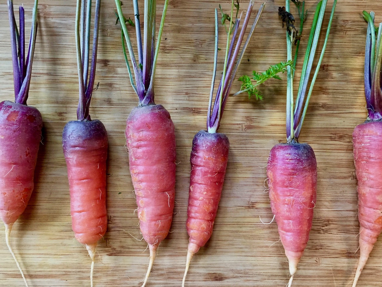 Breaking down the food trends for 2020 | iNwine