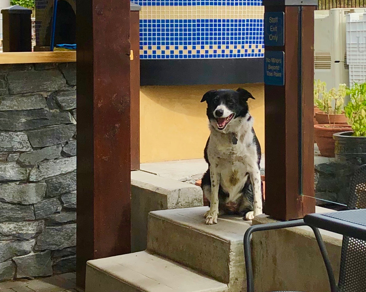 Free delivery to your door for this wine & cheese package | iNwine