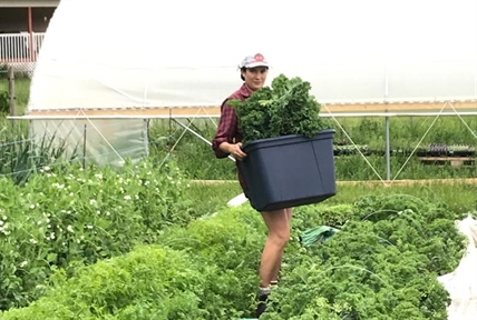 Young farmers pursuing leases for expensive Okanagan farmland | iNwine