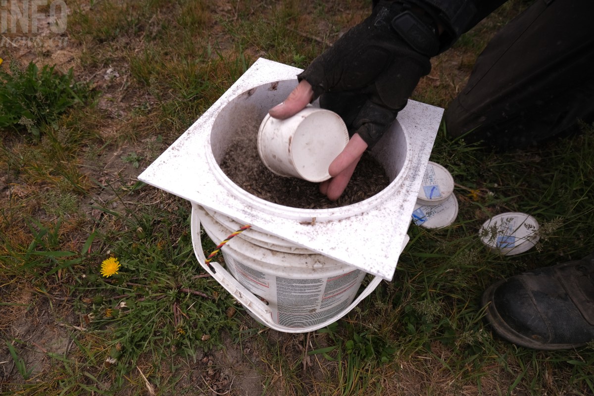 iN VIDEO: Drones distributing sterile moths in Okanagan to curb pest numbers | iNwine