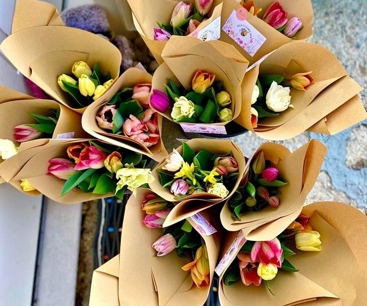 Arrival of tulips cheering up residents in Kamloops, Okanagan | iNwine Arrival of tulips cheering up residents in Kamloops, Okanagan | iNwine