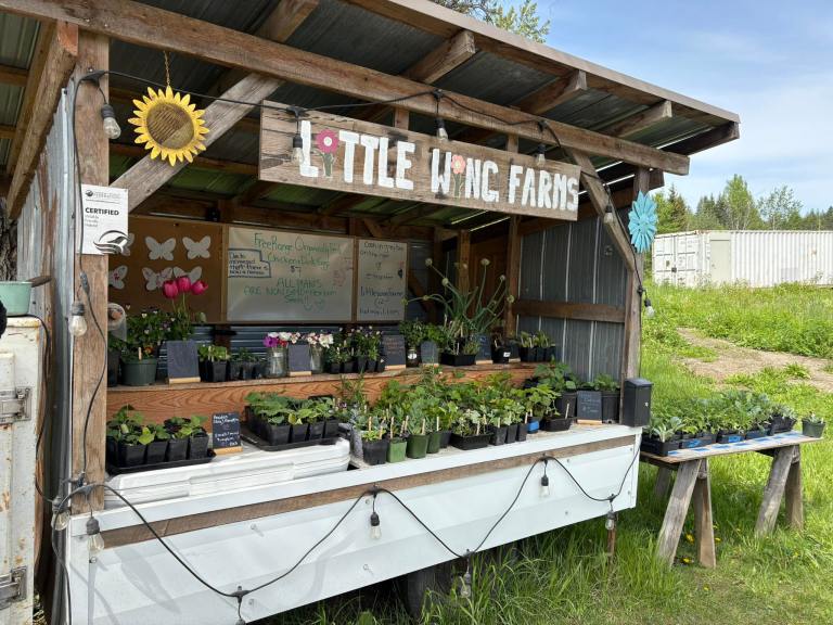 Salmon Arm farmer maps trail of farm stands in Okanagan and Shuswap | iNwine