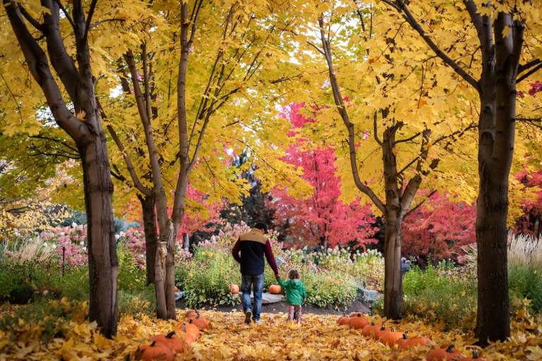 Privato Pumpkin Patch offers a fall outing for families in Kamloops | iNwine Privato Pumpkin Patch offers a fall outing for families in Kamloops | iNwine