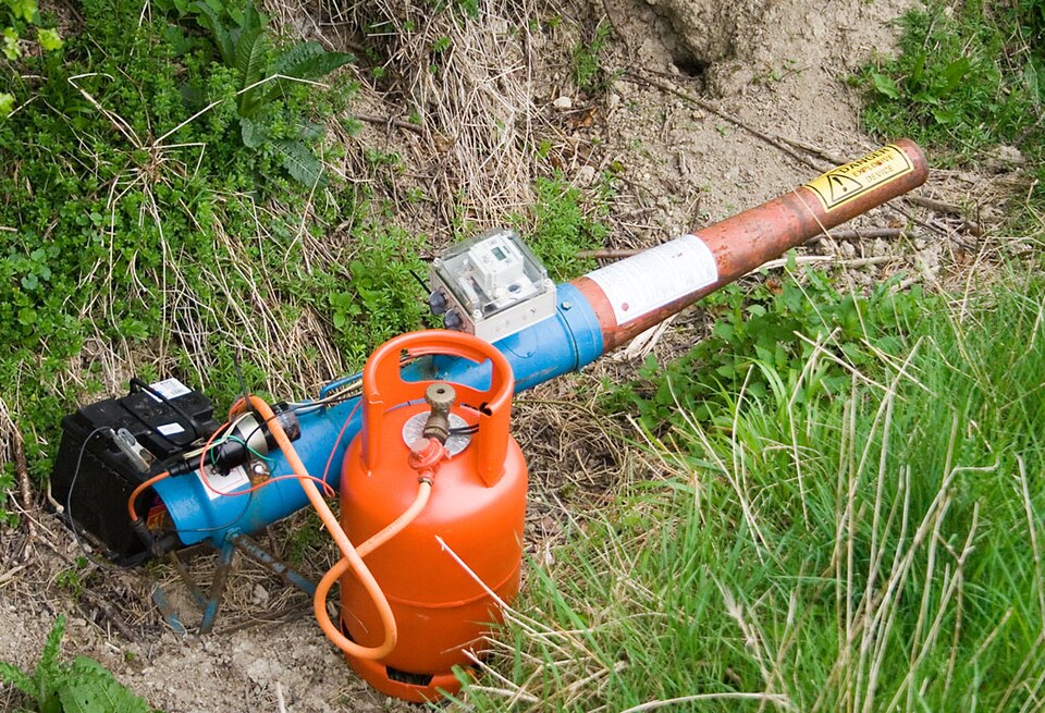 Why you can't avoid the sound of bird cannons on Okanagan farms | iNwine