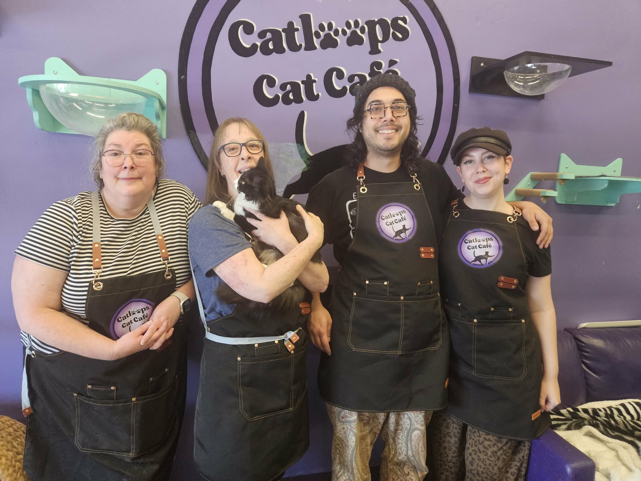 Forgotten felines get second chance at Kamloops' first cat cafe | iNwine
