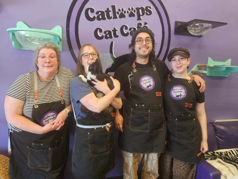 Forgotten felines get second chance at Kamloops' first cat cafe | iNwine