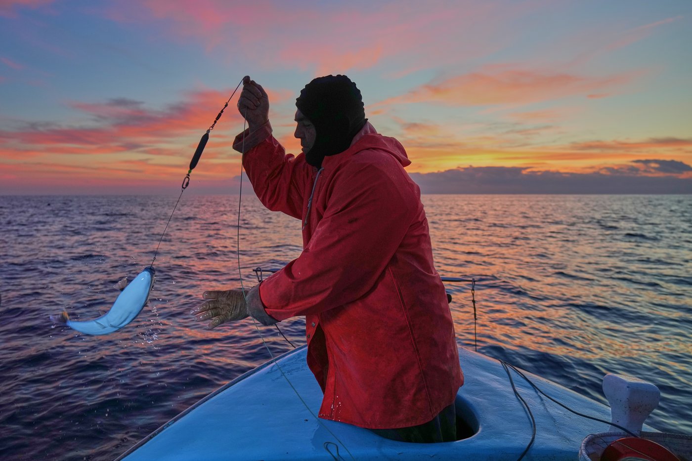 The Mediterranean's warming waters are drawing hundreds of invasive species | iNFOnews.ca