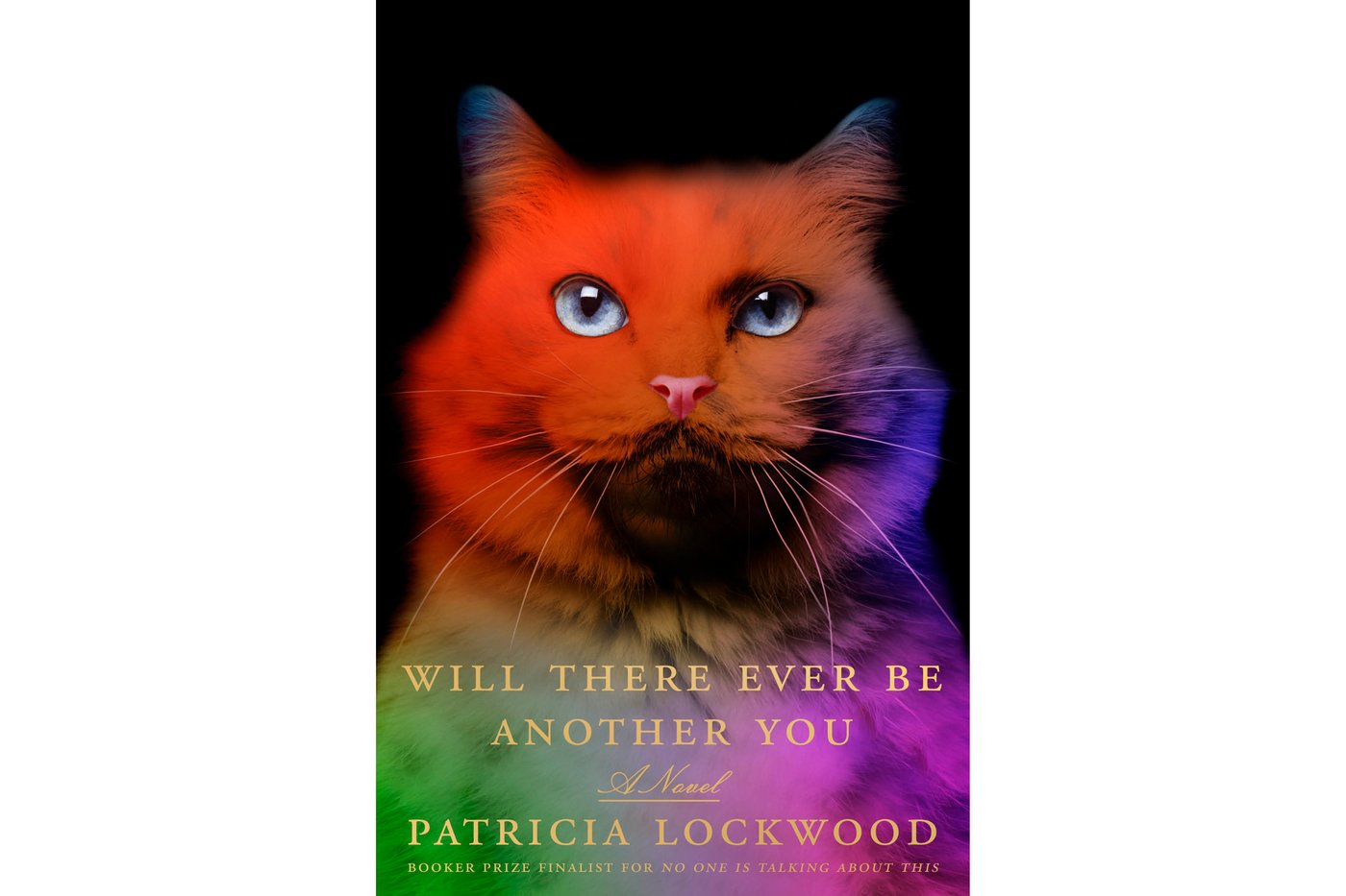 Patricia Lockwood wins $10,000 Gabe Hudson Prize for a dark, comic COVID-19 novel | iNFOnews.ca
