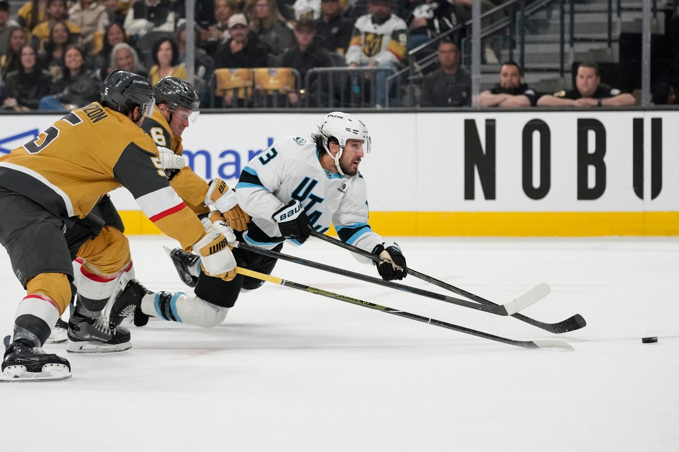Arizona Coyotes fans trying to keep connection with franchise after its move to Utah | iNFOnews.ca