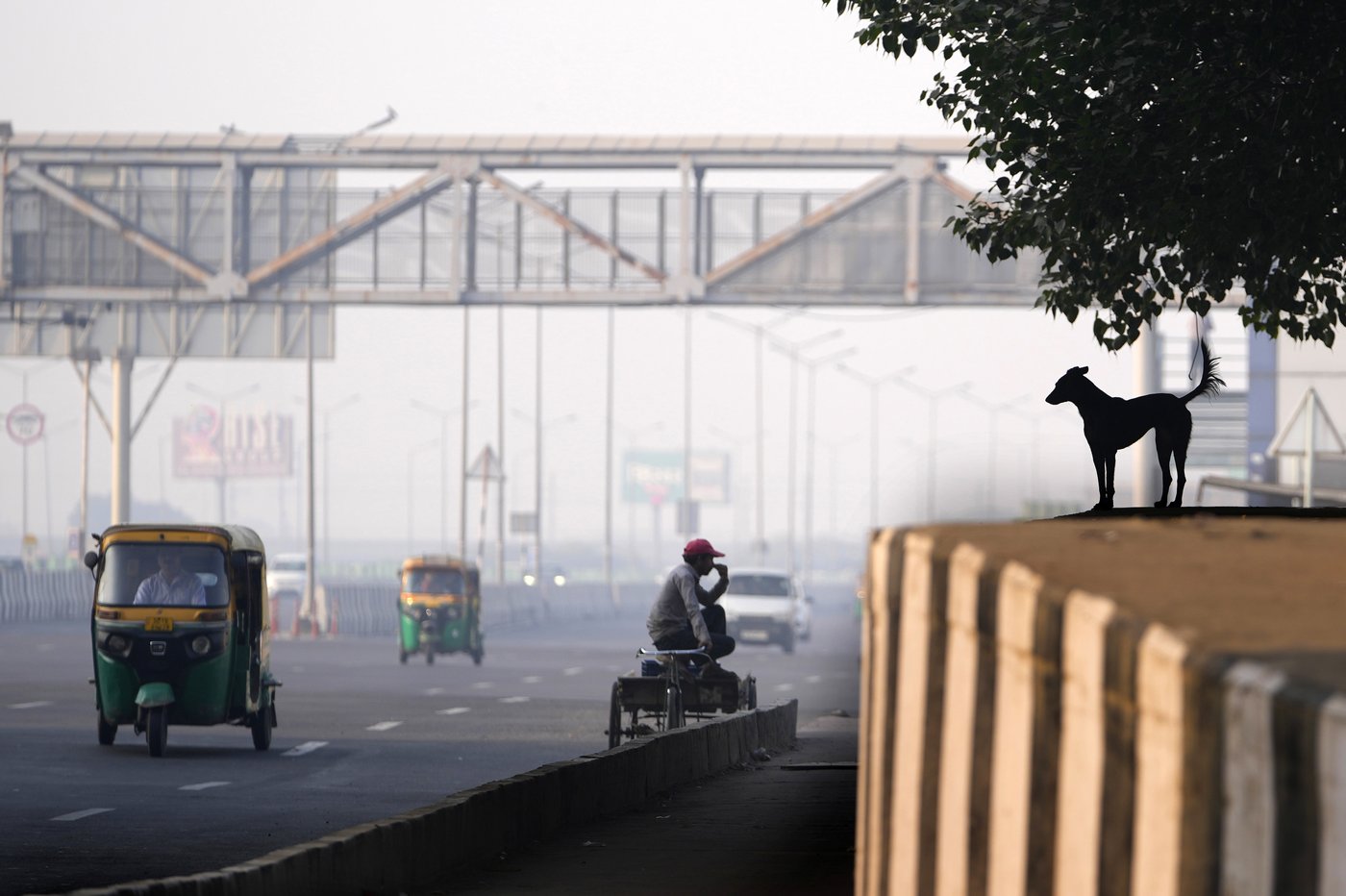 Toxic smog cloaks India's capital as Diwali firecrackers push air pollution to hazardous levels | iNFOnews.ca