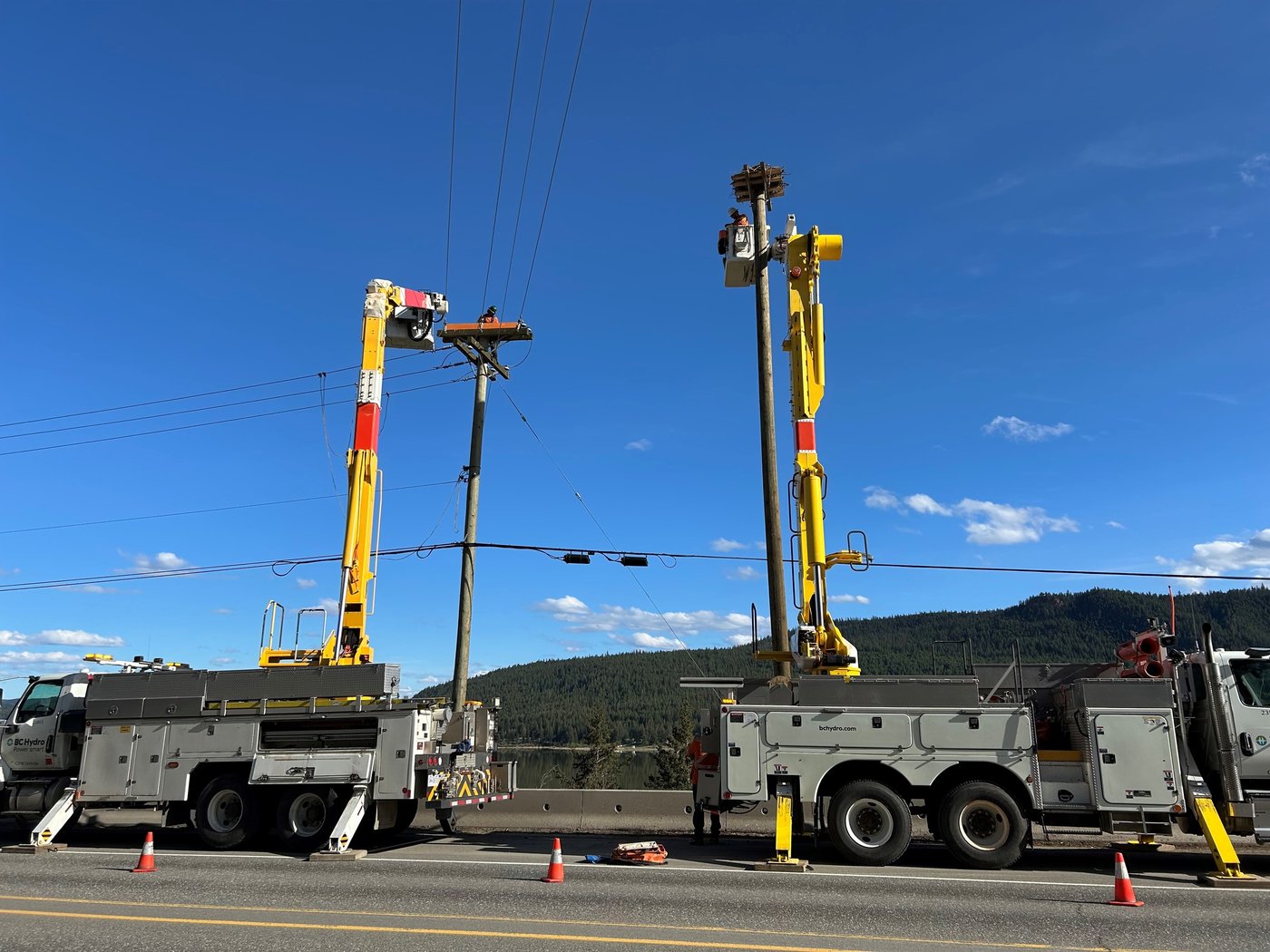 Shocking problem for osprey nests built on B.C. power poles prompts relocations | iNFOnews.ca Shocking problem for osprey nests built on B.C. power poles prompts relocations | iNFOnews.ca