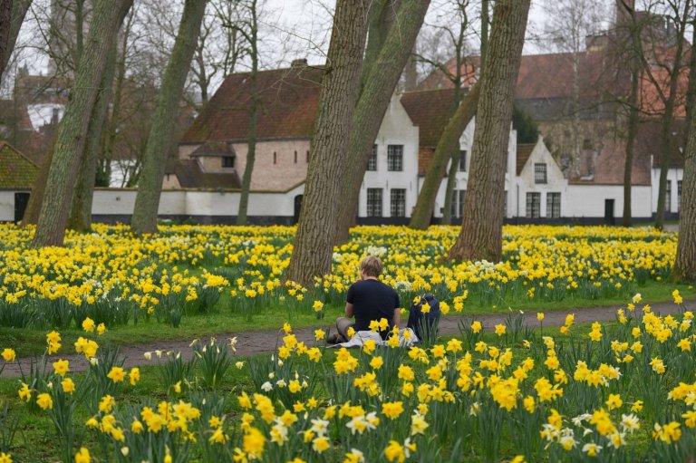 Belgium’s Beguinages: Tranquil oases in a world of noise and distraction | iNFOnews.ca