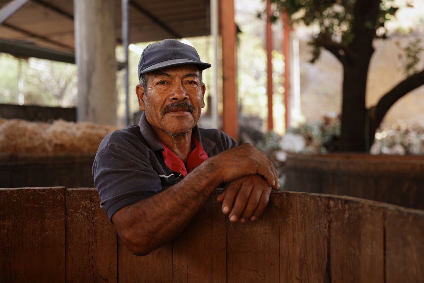 Mezcal producers in Oaxaca pose for photos while reflecting on economic impacts of the drink | iNwine Mezcal producers in Oaxaca pose for photos while reflecting on economic impacts of the drink | iNwine