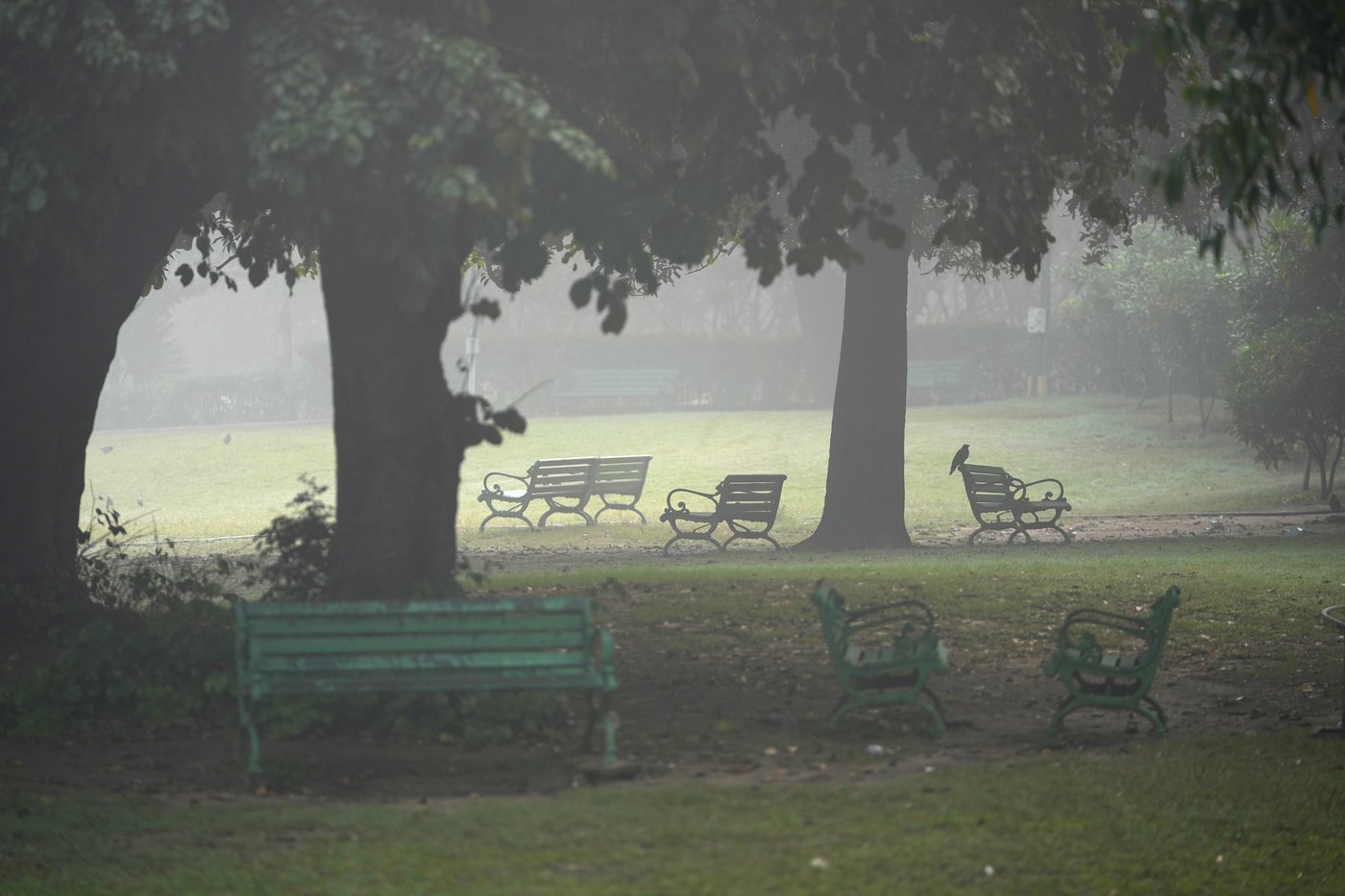 New Delhi closes schools, bans construction as air pollution shoots up to worst level this season | iNFOnews.ca