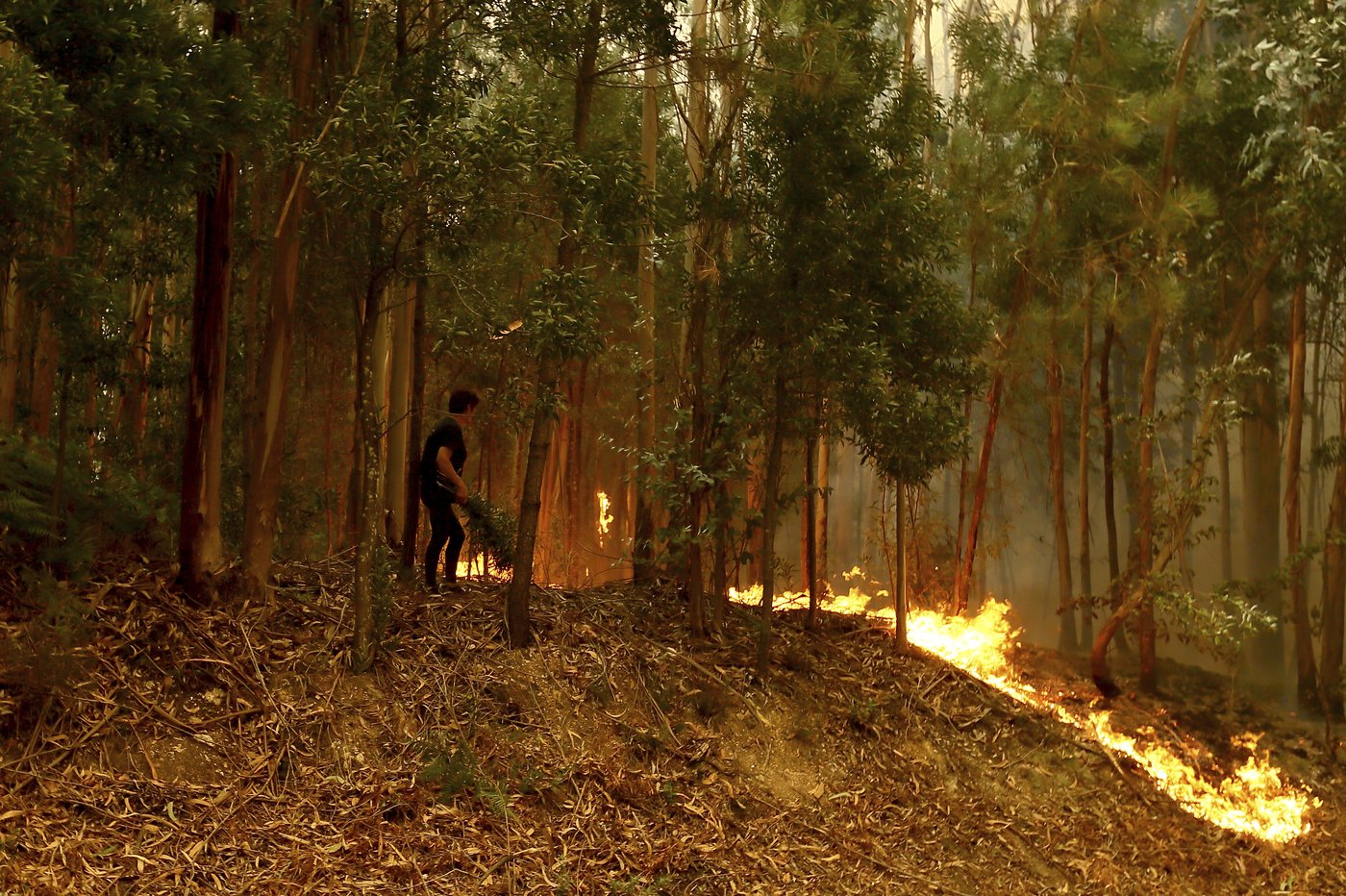 Portugal declares a state of calamity as wildfires rage out of control | iNFOnews.ca