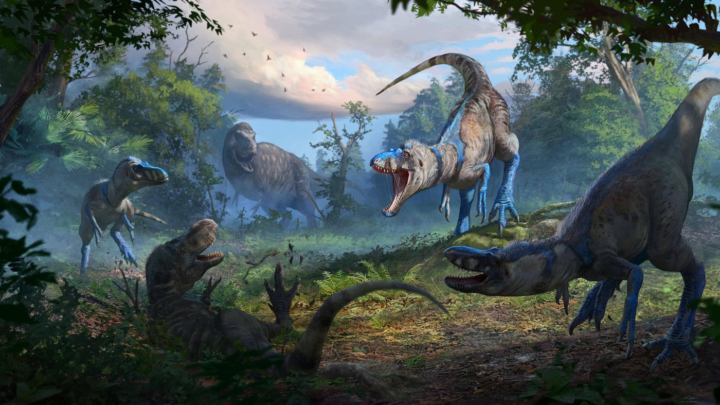 Young T. rex or a new dinosaur? New bones add to the debate | iNFOnews.ca Young T. rex or a new dinosaur? New bones add to the debate | iNFOnews.ca