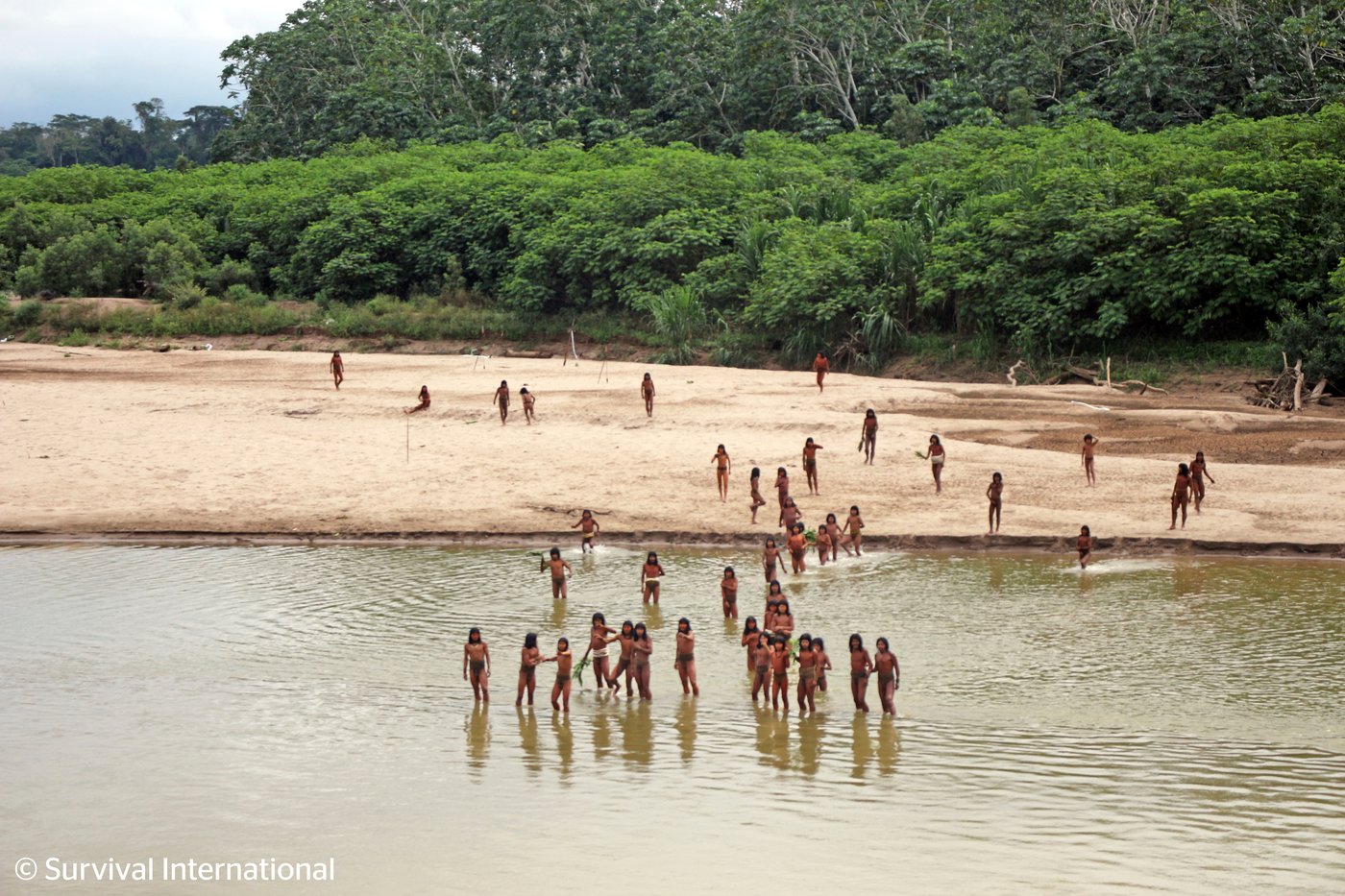 Uncontacted Indigenous groups could vanish within a decade without stronger protections, experts say | iNFOnews.ca Uncontacted Indigenous groups could vanish within a decade without stronger protections, experts say | iNFOnews.ca