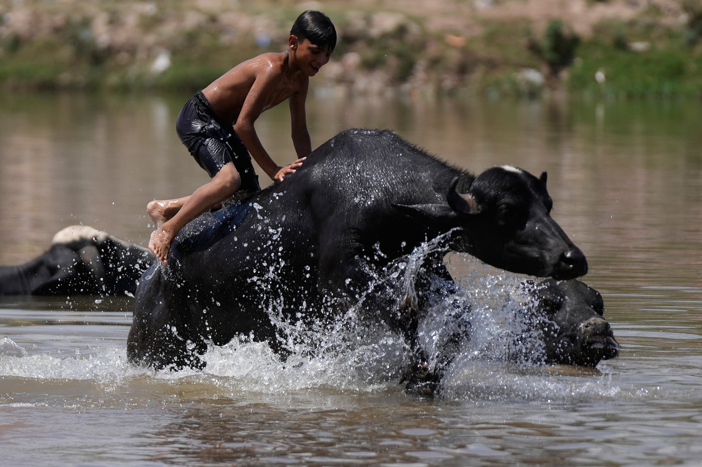 The top photos of the day by AP photojournalists | iNFOnews.ca