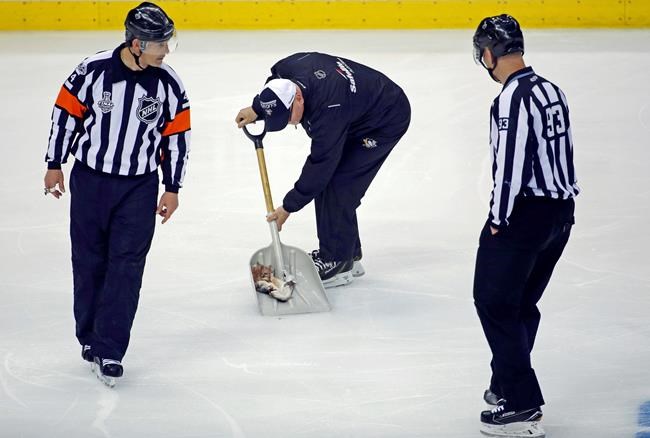 Prosecutors to drop charges in Stanley Cup dead catfish toss | iNFOnews.ca