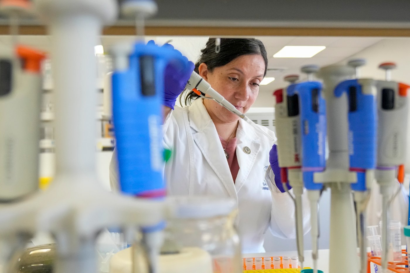 Tools to fight hantavirus show promise despite limited funding. Now researchers hope to continue | iNFOnews.ca Tools to fight hantavirus show promise despite limited funding. Now researchers hope to continue | iNFOnews.ca