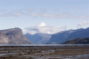 CP23675923