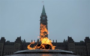 CP19025229