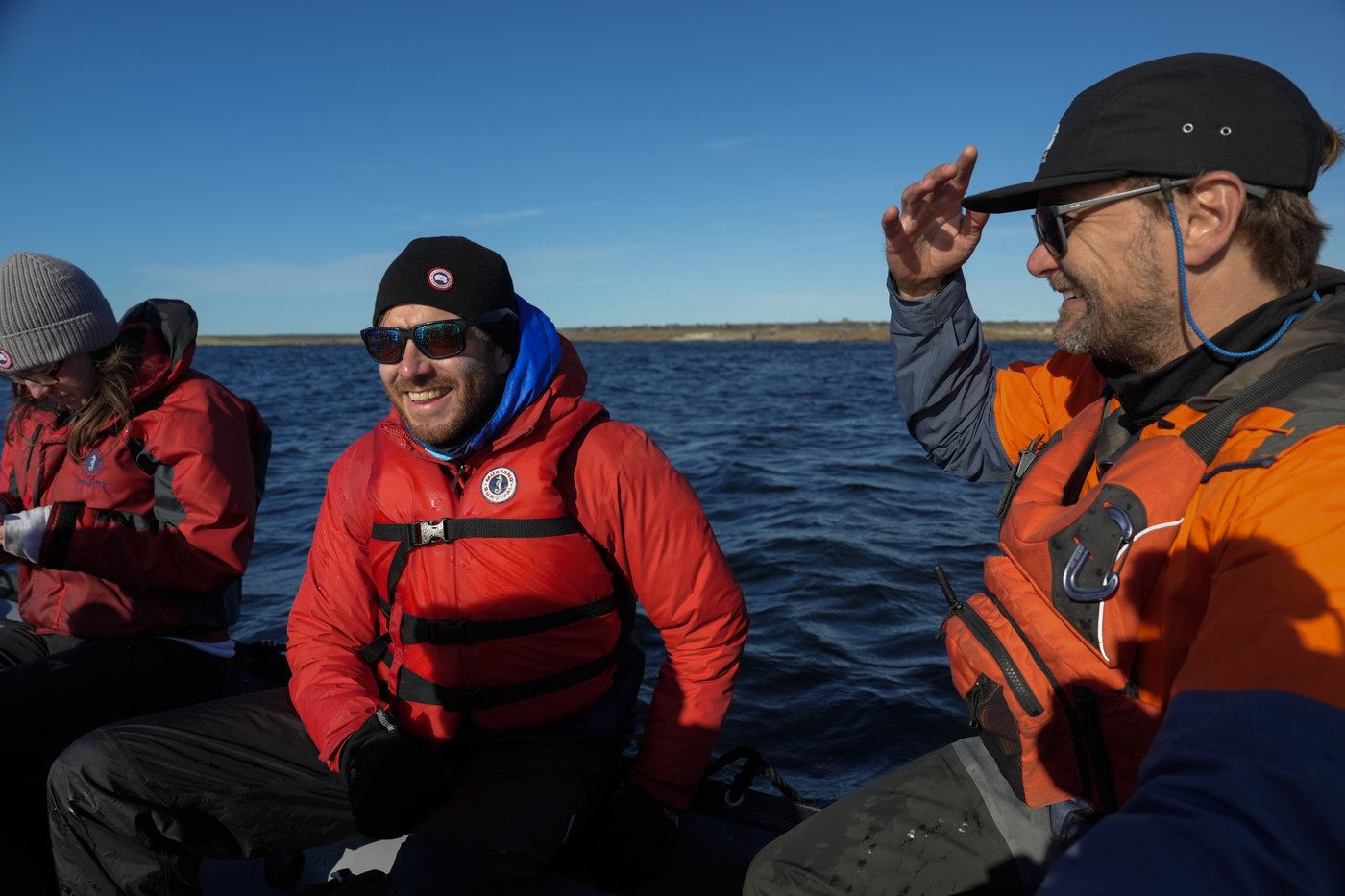 In the gateway to the Arctic, fat, ice and polar bears are crucial. All three are in trouble | iNFOnews.ca